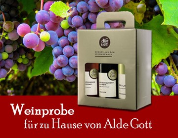 Ein grauer Weinkarton mit 6 verschiedenen Spätlese Weinflaschen von Alde Gott vor einem Traubenstock.