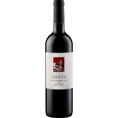 Enate Cabernet Sauvignon-Merlot DO